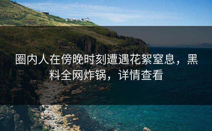 圈内人在傍晚时刻遭遇花絮窒息，黑料全网炸锅，详情查看