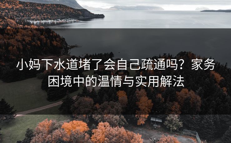 小妈下水道堵了会自己疏通吗？家务困境中的温情与实用解法