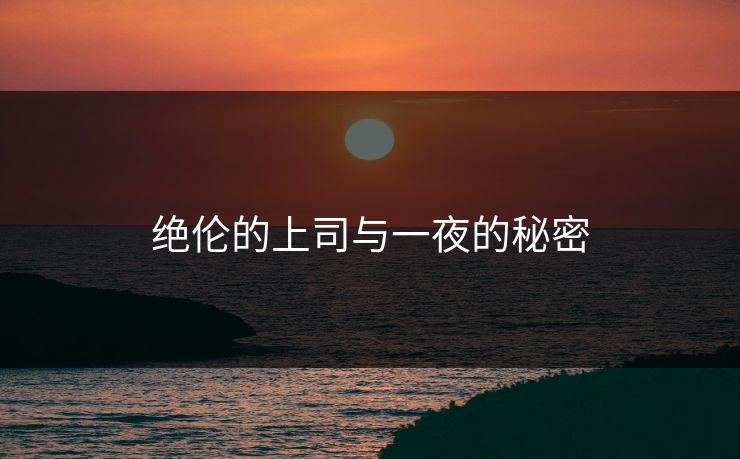 绝伦的上司与一夜的秘密